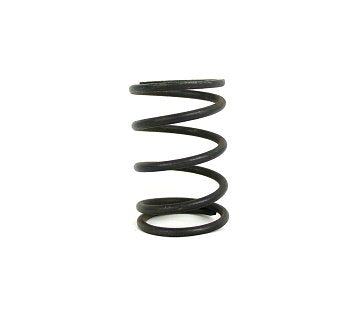 Dyno Box Stock Clone Valve Spring