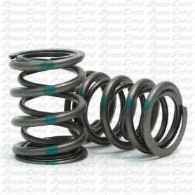 Dyno Green Stripe 36# Dual Springs Pair