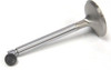 Valve Lash Cap (for Stainless Steel Valves)