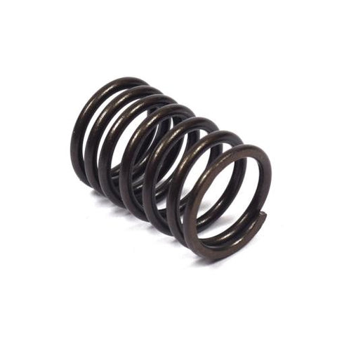 Valve Spring, Intake