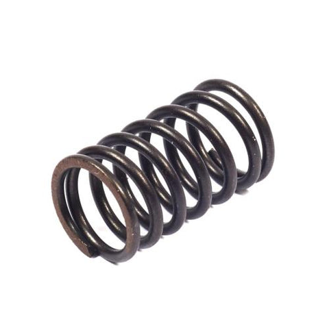 OEM Stock Valve Spring (212)