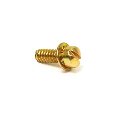 Diaphram Cover Screw