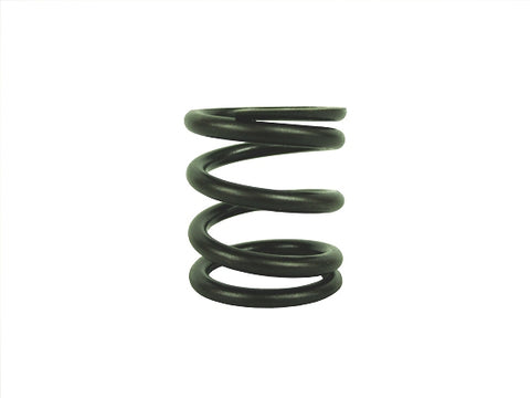 Valve Spring