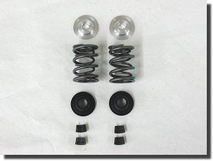 Dyno Raptor Dual Valve Spring Kit W/Retainers
