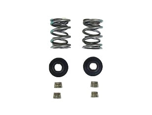Heavy Duty 38# Animal Dual Spring Kit