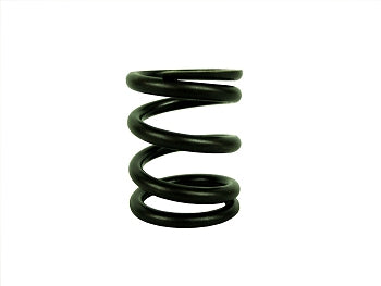 Dyno A.K.R.A. BUILDER PREPARED Clone Valve Spring (22 lbs)