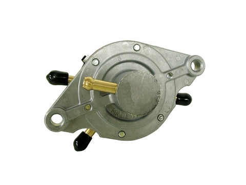 Dual Outlet Fuel Pump (LP427)