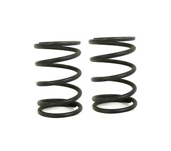 WMS Clone Valve Springs - Engine Builder (pair)
